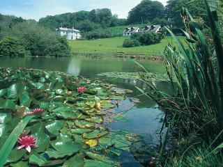 Rosecraddoc Manor - Heron - Saint Cleer - 4
