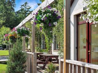 Family Lodge No, 2 The Place Downstairs - Uk45691 - Pitlochry - 9