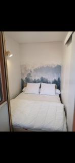 Appartement à la Montagne à 1650m - Saint-François-Longchamp - 9