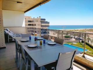Arenales de Sol-Urb San Antonio - Arenales del Sol - 0