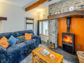 Ivy Bush Cottage - Llanddewi-Brefi - 8