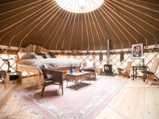 Elodie Yurt - Bishopsteignton - 0