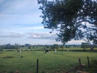 The Calf House - Sibbertoft - 2