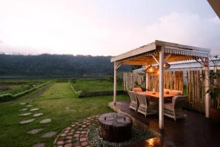 Gatsby on Buyan - Bedugul - 8