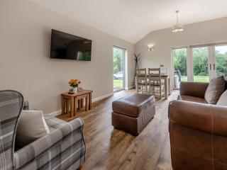 Dwrgi - Uk32923 - Cwrt-newydd - 9