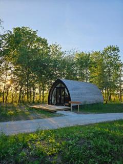 Tiny House De Hagekrûper - Westergeest - 0