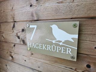 Tiny House De Hagekrûper - Westergeest - 9