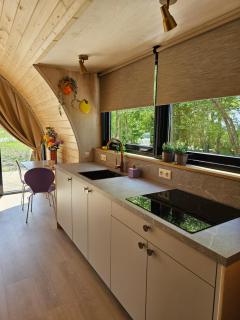 Tiny House De Hagekrûper - Westergeest - 5