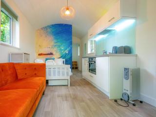 Woodpecker - Uk43451 - Hayle - 9