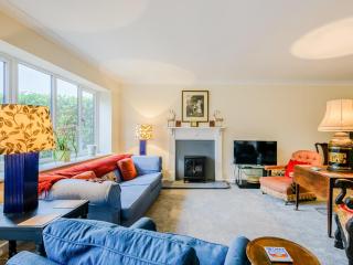 Hilley Holey - Horning - 9