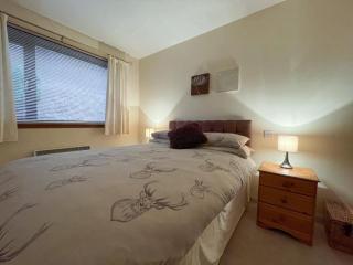 Bervie Road Cottage - Kinlochbervie - 5