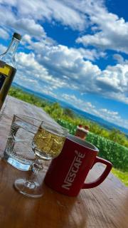 Dedinje - Jagodina - 5