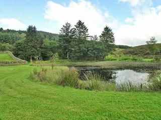 Marwhin Cottage - Swws - Kirkpatrick Durham - 3