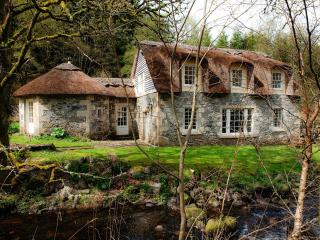 Forget Me Not - Skkz - Dalmellington - 4