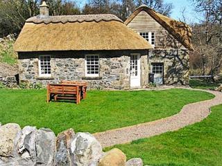 Forget Me Not - Skkz - Dalmellington - 3
