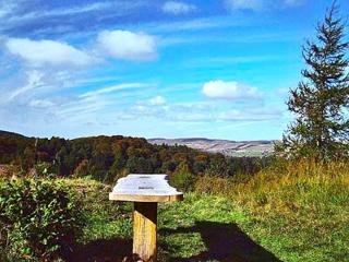 Forget Me Not - Skkz - Dalmellington - 3