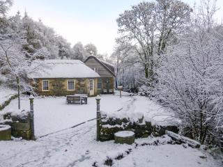 Forget Me Not - Skkz - Dalmellington - 1