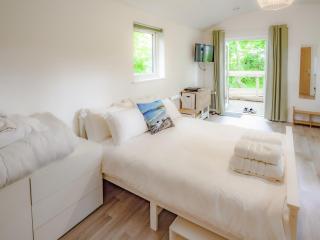 Owl - Uk43447 - Hayle - 7