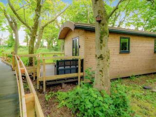 Owl - Uk43447 - Hayle - 9