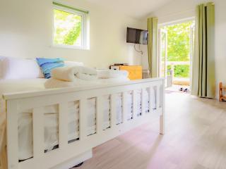 Owl - Uk43447 - Hayle - 6