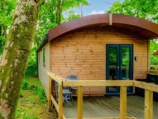 Owl - Uk43447 - Hayle - 2
