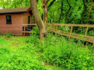 Owl - Uk43447 - Hayle - 1