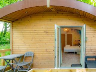 Owl - Uk43447 - Hayle - 3