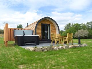 Efyrnwy Pod Vip - Llanfyllin - 9