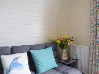 Efyrnwy Pod Vip - Llanfyllin - 8