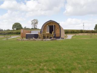 Efyrnwy Pod Vip - Llanfyllin - 7
