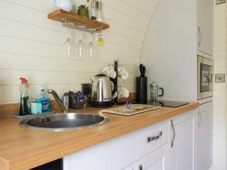 Efyrnwy Pod Vip - Llanfyllin - 6