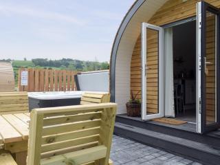 Efyrnwy Pod Vip - Llanfyllin - 5