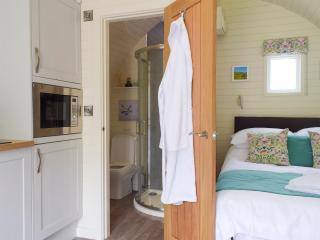 Efyrnwy Pod Vip - Llanfyllin - 4