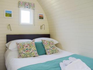 Efyrnwy Pod Vip - Llanfyllin - 3