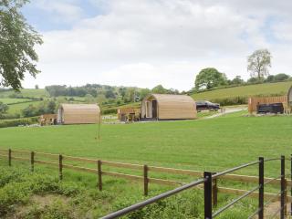 Efyrnwy Pod Vip - Llanfyllin - 1