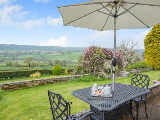 Osmore Orchard - Membury - 9