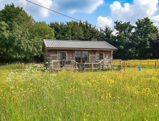 The Sunset Cabin - Beccles - 2