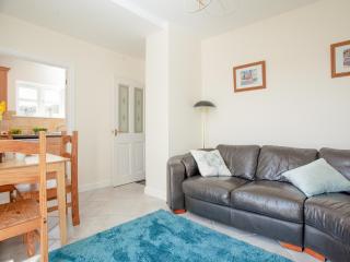 Stargazer - Uk43267 - Luppitt - 8