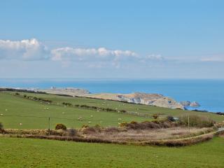 Home Park Farm Cottages A - Lanteglos - 2