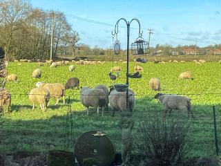 The Stables - Knutsford - 3