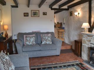 Trekeive Cottage - Saint Cleer - 6