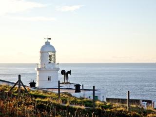 Wheal Holan - Lower Boscaswell - 8