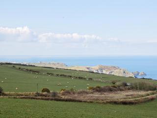Kilcummer Stables - Tintagel - 4