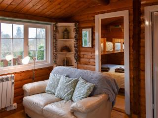 Trawsfynydd Cabin - Trawsfynydd - 8
