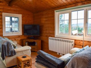 Trawsfynydd Cabin - Trawsfynydd - 7