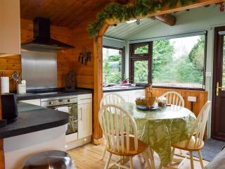 Trawsfynydd Cabin - Trawsfynydd - 6