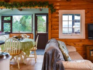 Trawsfynydd Cabin - Trawsfynydd - 5