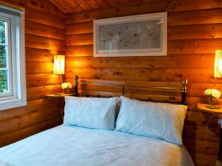 Trawsfynydd Cabin - Trawsfynydd - 4