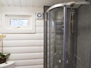 Trawsfynydd Cabin - Trawsfynydd - 2