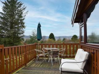 Trawsfynydd Cabin - Trawsfynydd - 1